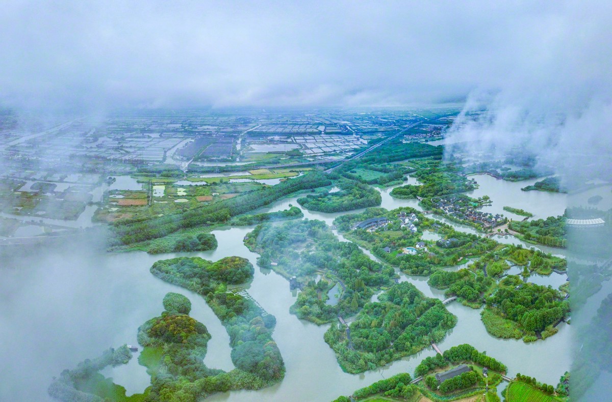 江苏江南秘境，漫步小巷深处的特色小店探寻之旅