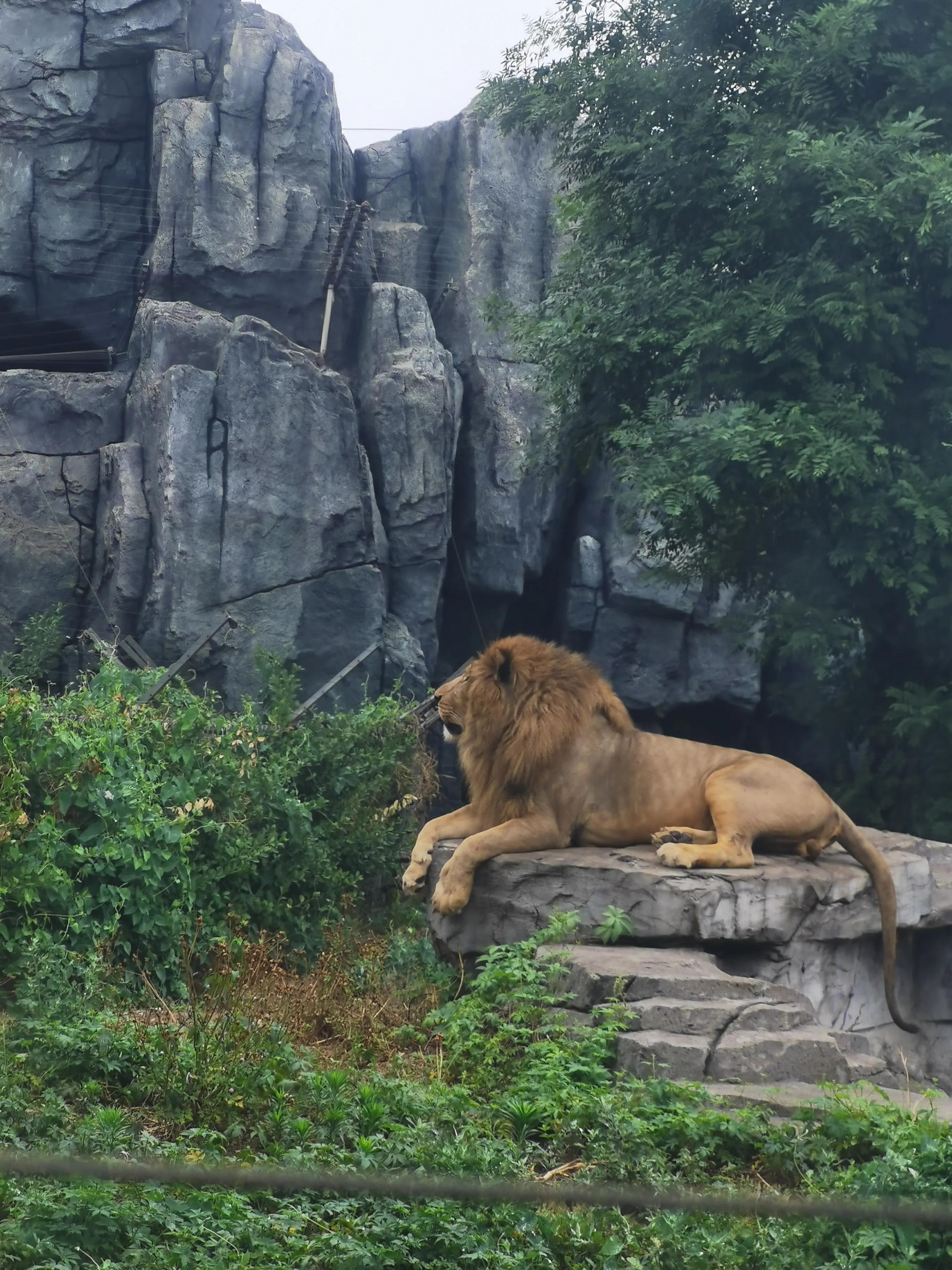 唐山,嘉宾云集,共襄盛会